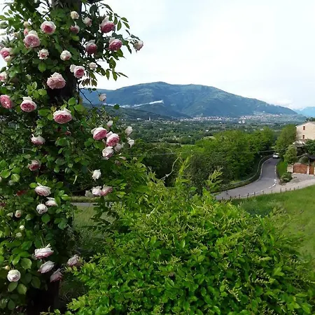 Bellavista
