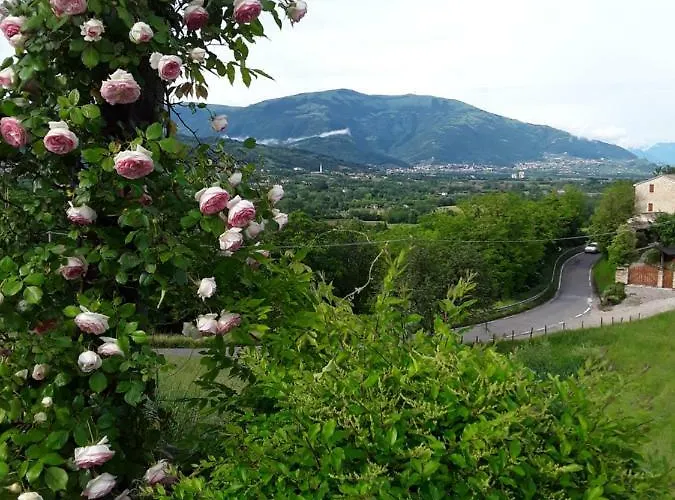 Bellavista